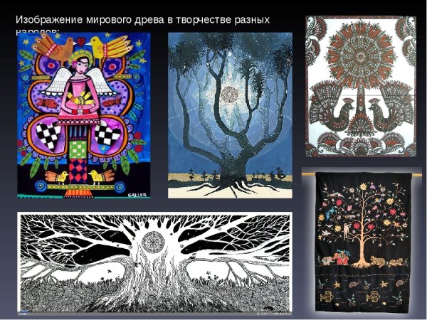 Мировое Древо Китая дерево фусан