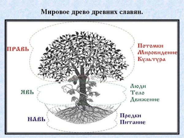 Древо мироздания древних славян