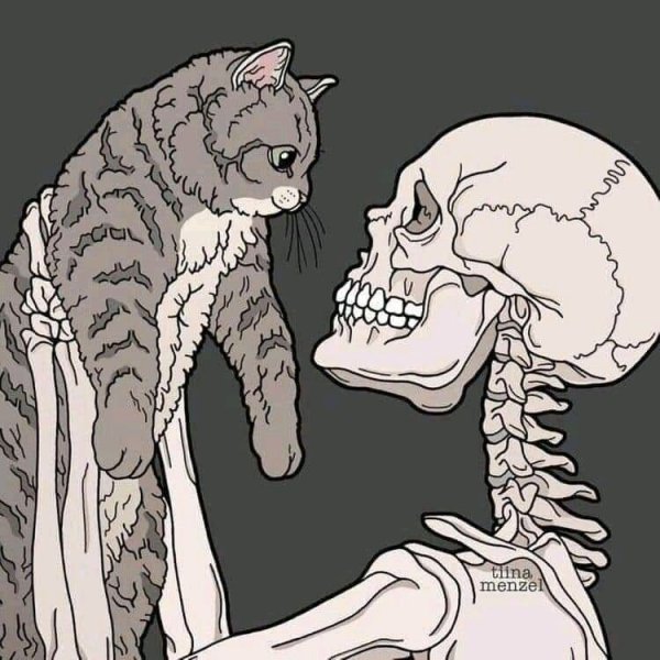 Скелеты с котами