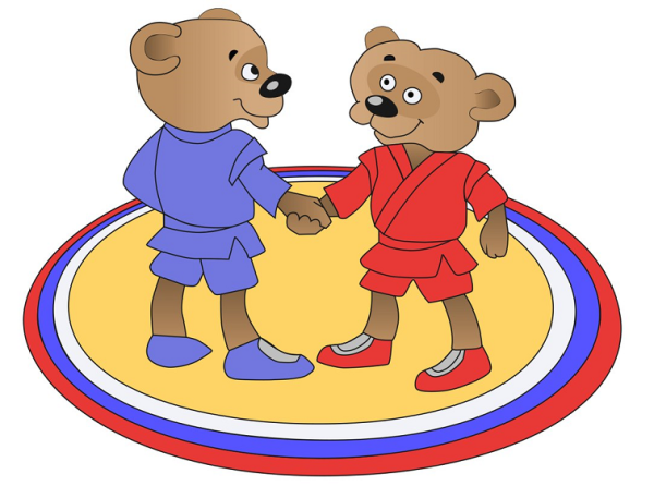 Медведь самбо