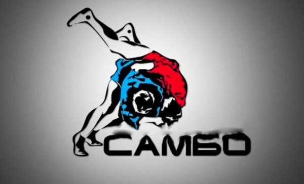 Самбо вектор