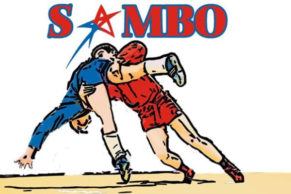 Рисунок на тему самбо