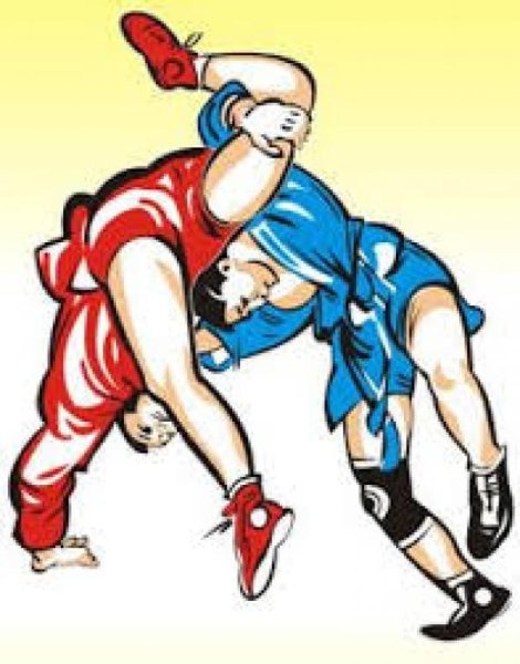 Символ борцов самбо