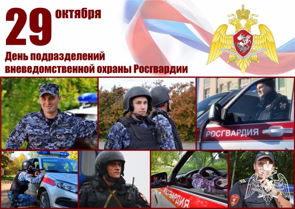 День работников службы вневедомственной охраны МВД РФ