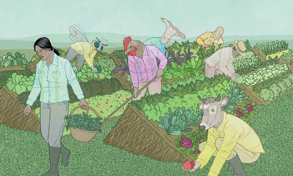 Сельское хозяйство иллюстрация