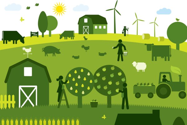 Сельское хозяйство вектор