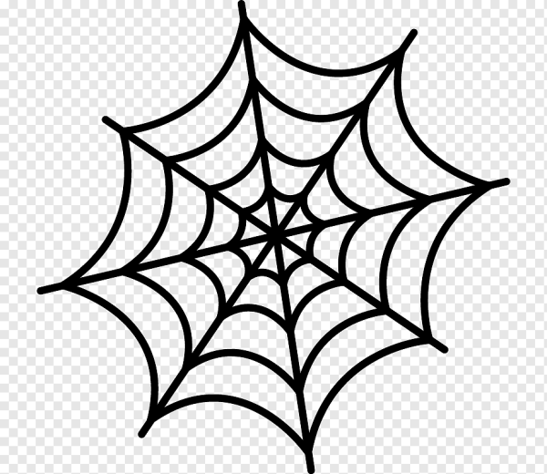 Паутина тату эскиз