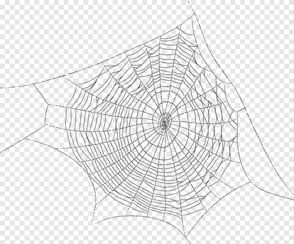 Трехмерная паутина