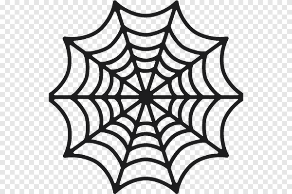 Паутина эскиз