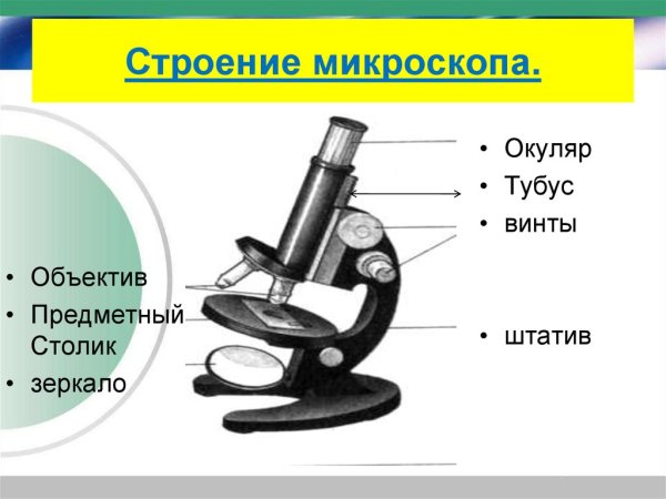 Биология 5 кл строение микроскопа