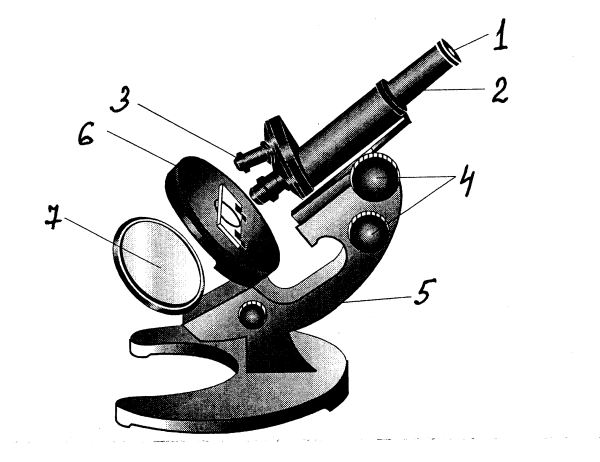 Строение микроскопа 5 класс биология