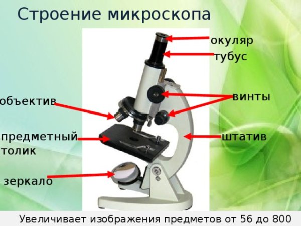 Монокулярный микроскоп строение