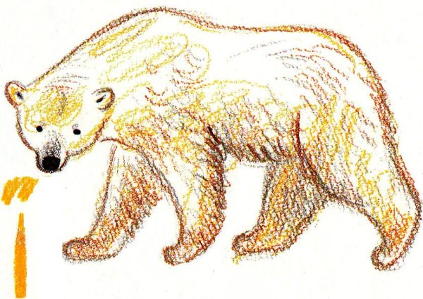 Паустовский дремучий медведь