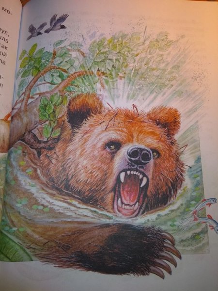 Паустовский дремучий медведь иллюстрации