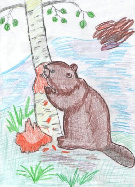 Рассказ Паустовского дремучий медведь