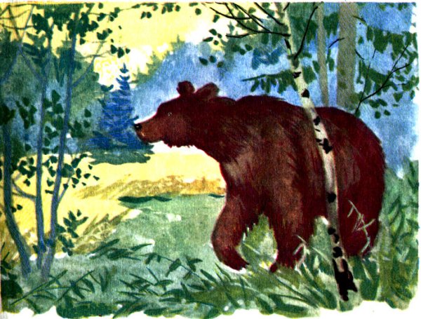 Константин Паустовский дремучий медведь