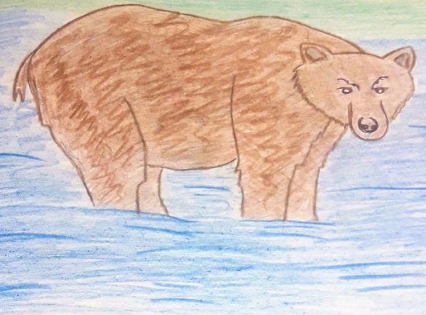 Дремучий медведь Паустовский иллюстрация к рассказу