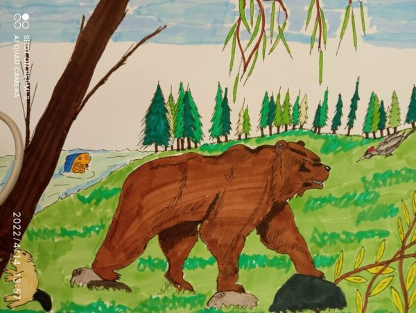 Рисование бурый медведь