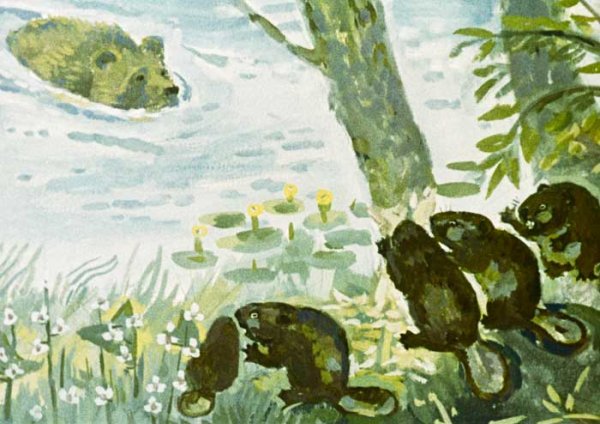 Паустовский дремучий медведь