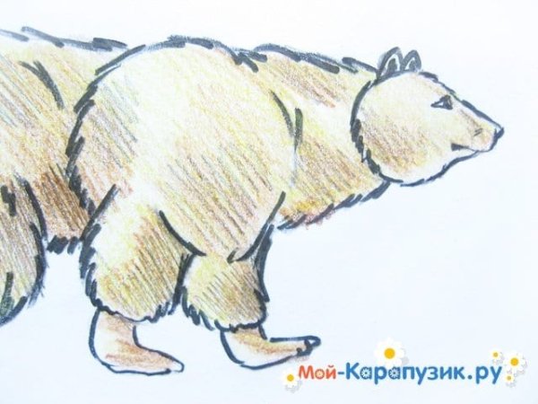 Паустовский дремучий медведь