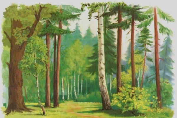 Рисунок леса для детей
