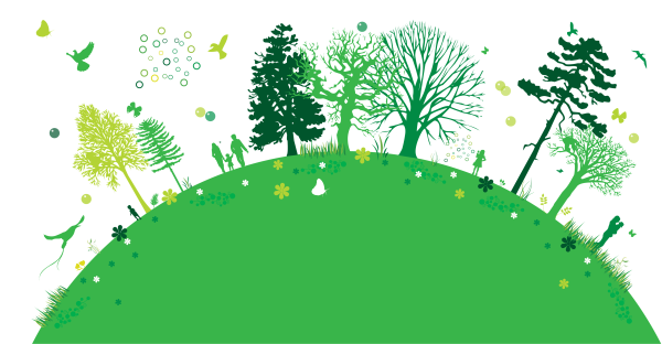 Лес рисунок