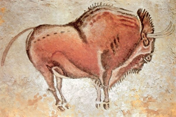 ЗУБР Пещерная живопись палеолит пещера Альтамира Испания