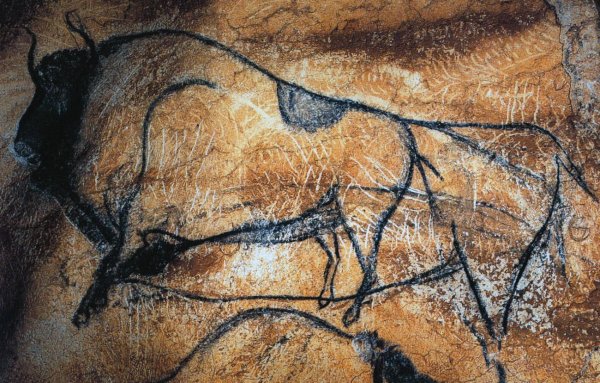 Пещера Шове наскальные рисунки