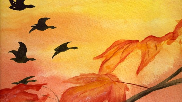 Рисование улетают птицы