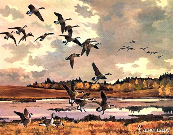 Никита гусятник 28 сентября