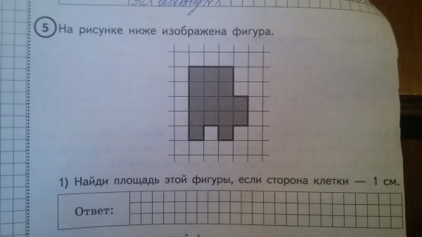 Проведи прямую линию так чтобы прямоугольник оказался разбит