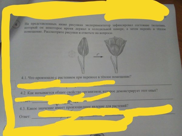 Схема процессов жизнедеятельности растений