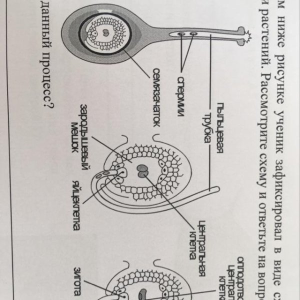 Проведите линию так чтобы получился прямоугольник