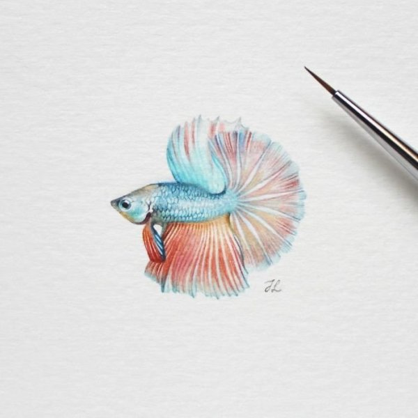 Акварельные миниатюры