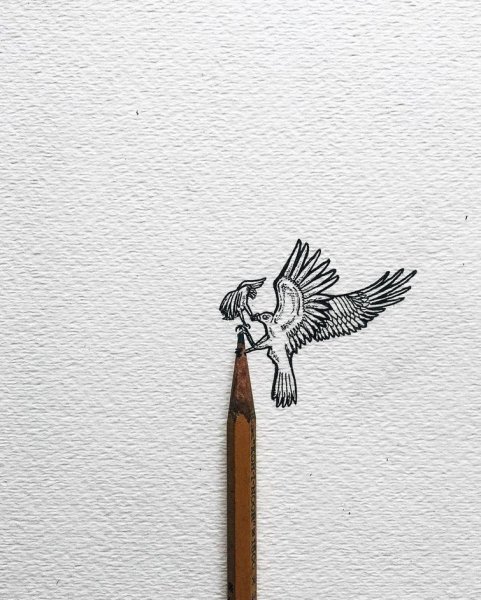 Минимализм карандашом