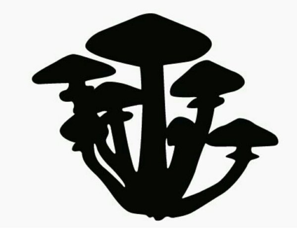 Пенек с опятами рисунок