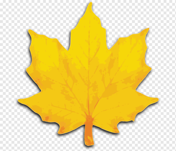 Желтые листочки