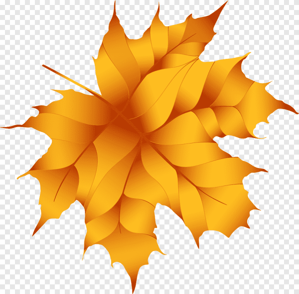 Кленовые листочки желтые