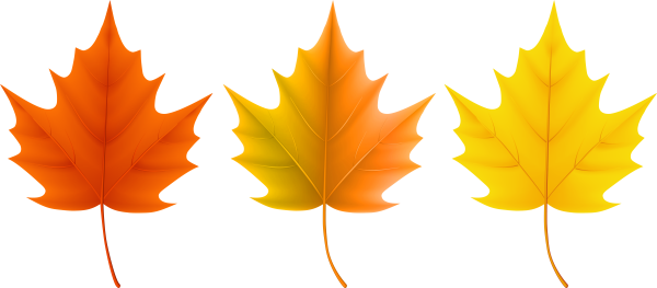 Листья для вырезания цветные