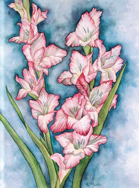 Гладиолусы картины