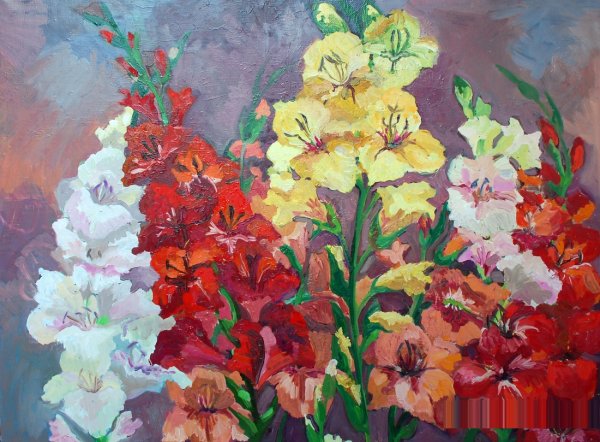 Раскраски цветы гладиолусы