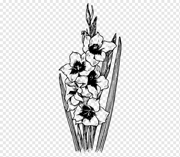 Гладиолус сиреневая акварель