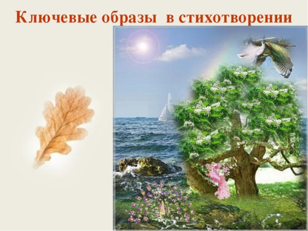 Чинара Лермонтова листок