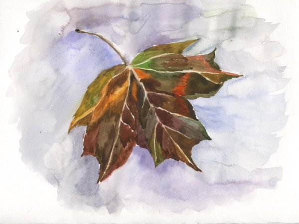 Листья деревьев акварелью