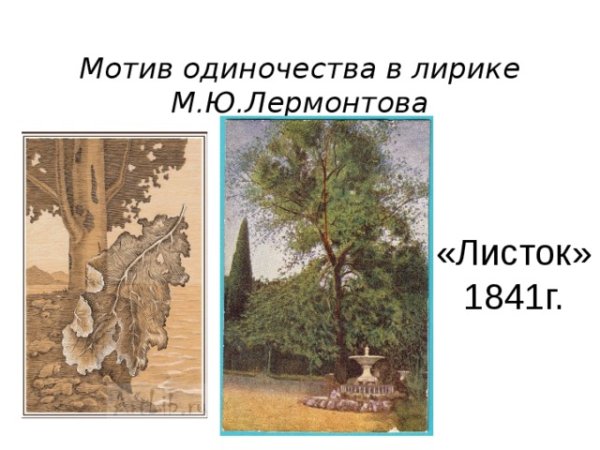 Чинара Лермонтова листок