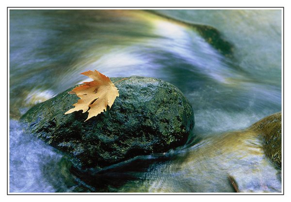 Художник сюрреалист Владимир куш