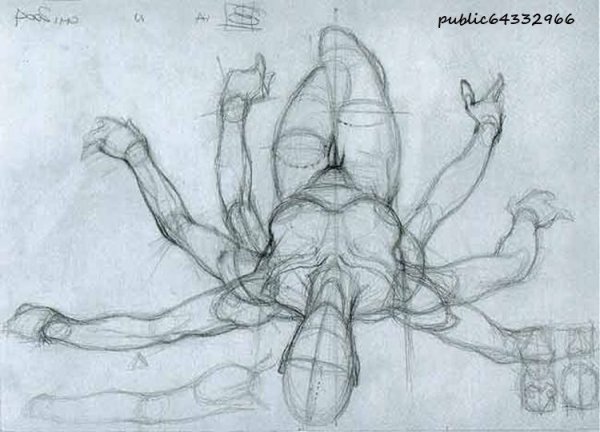 Рисование половых органов