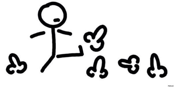 Дакота Скай порноактриса