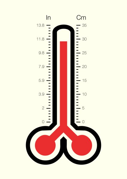 Градусник с членом
