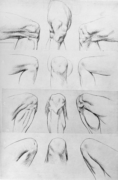 Рисование половых органов